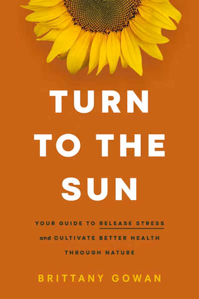 TURN TO THE SUN
