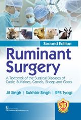 Ruminant Surgery