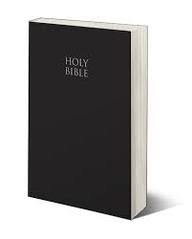 Niv Compact Text Bible - Black